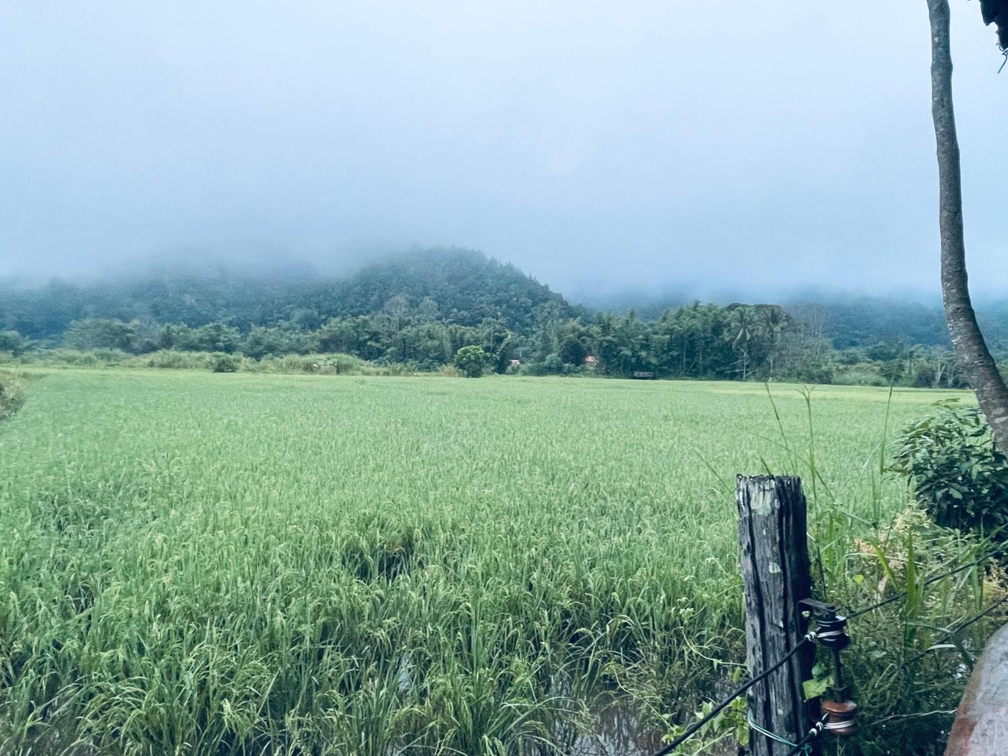 บ้านสวนวิวทุ่ง Ban Mae Sap Nua Kültér fotó