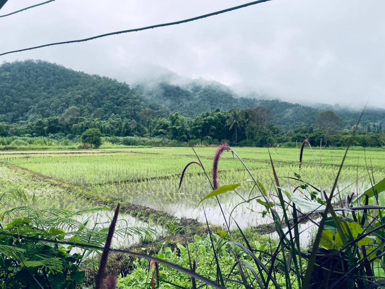 บ้านสวนวิวทุ่ง Ban Mae Sap Nua Kültér fotó