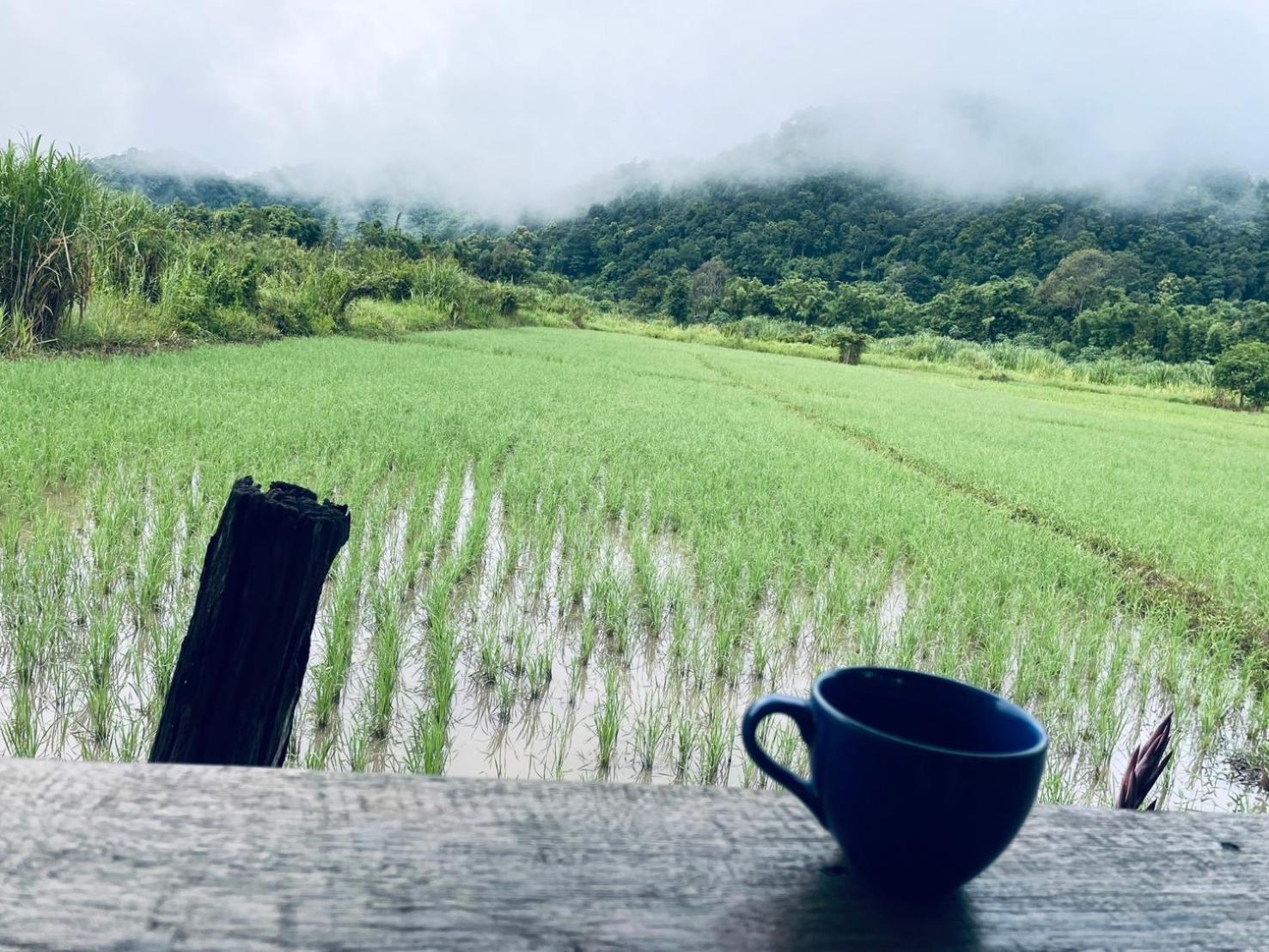 บ้านสวนวิวทุ่ง Ban Mae Sap Nua Kültér fotó