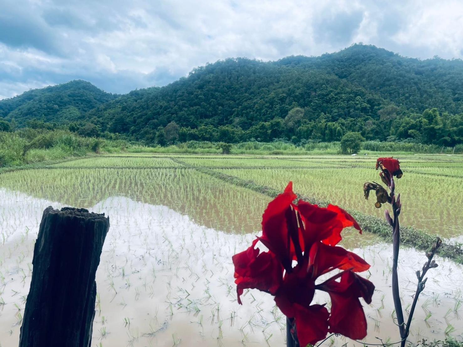 บ้านสวนวิวทุ่ง Ban Mae Sap Nua Kültér fotó