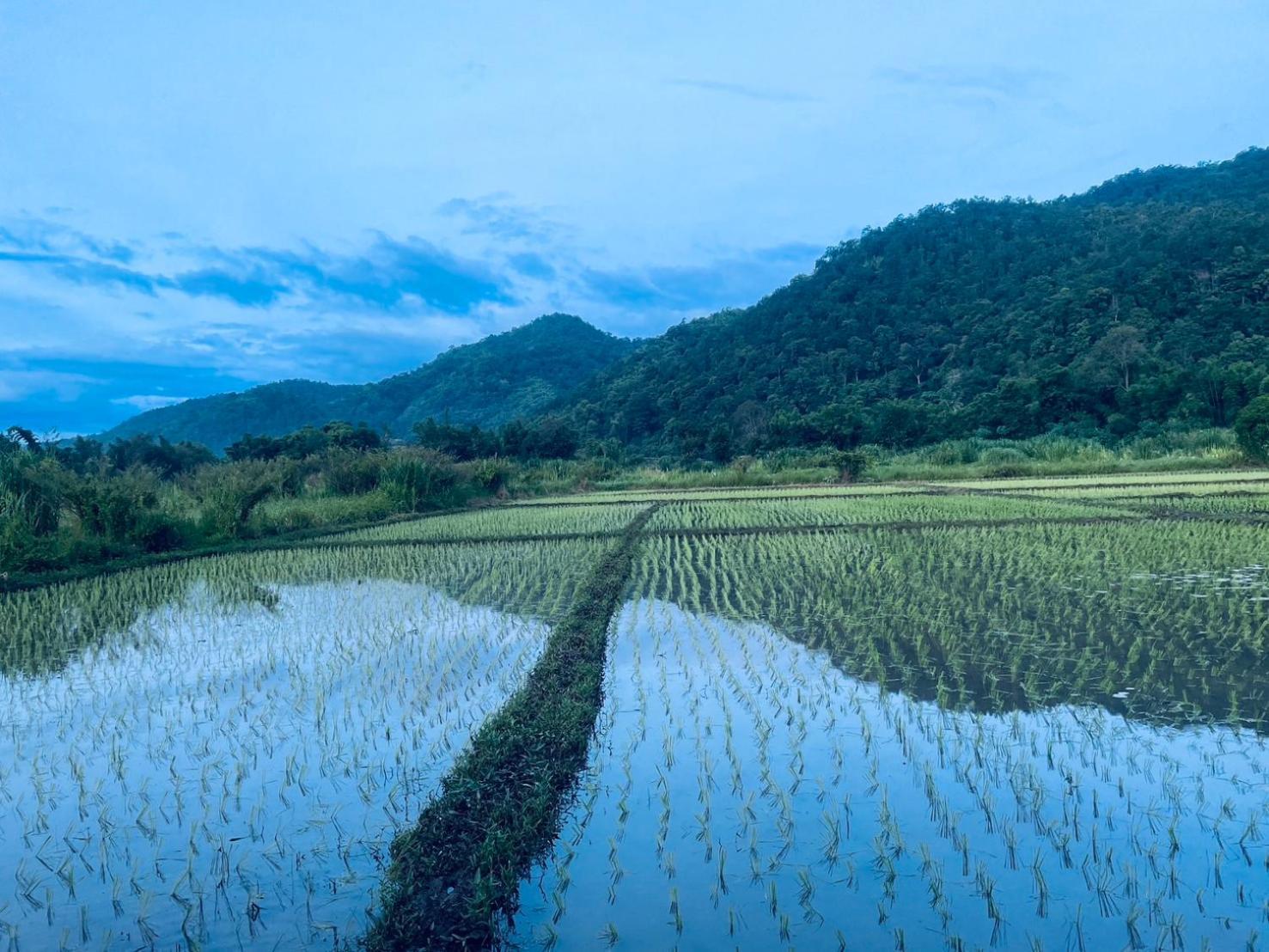 บ้านสวนวิวทุ่ง Ban Mae Sap Nua Kültér fotó