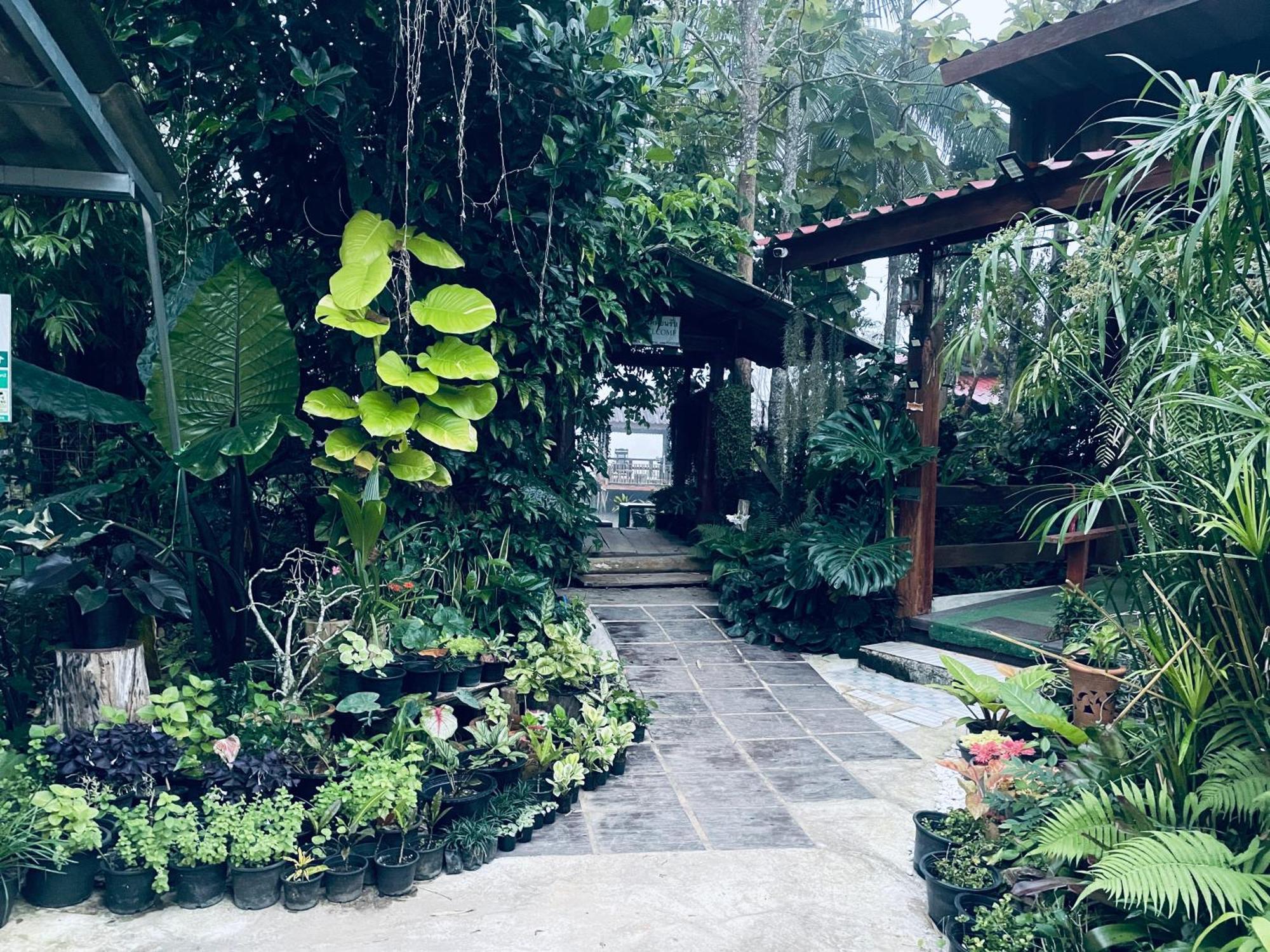 บ้านสวนวิวทุ่ง Ban Mae Sap Nua Kültér fotó